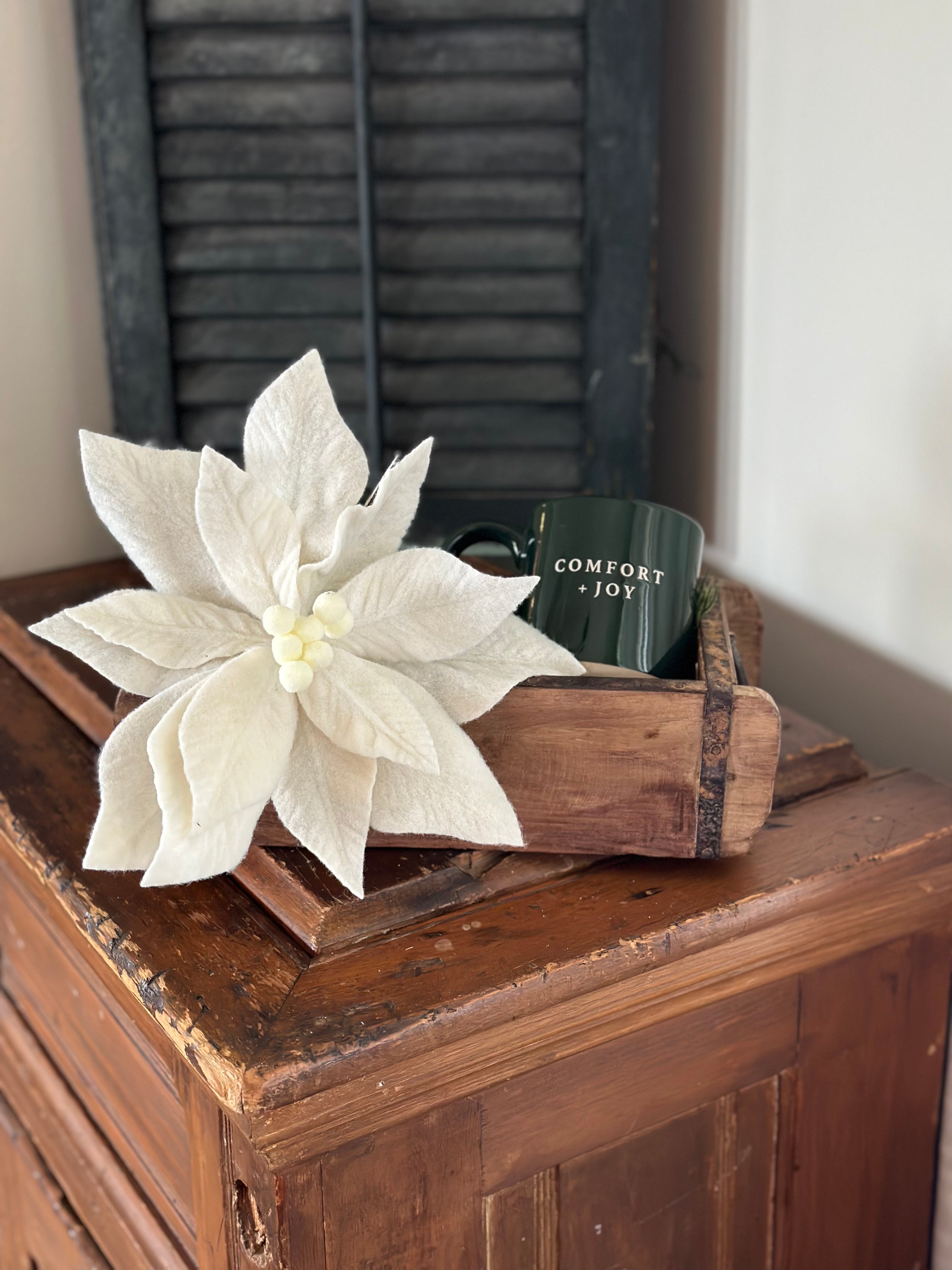 Poinsettia and Mug Mold Gift Set